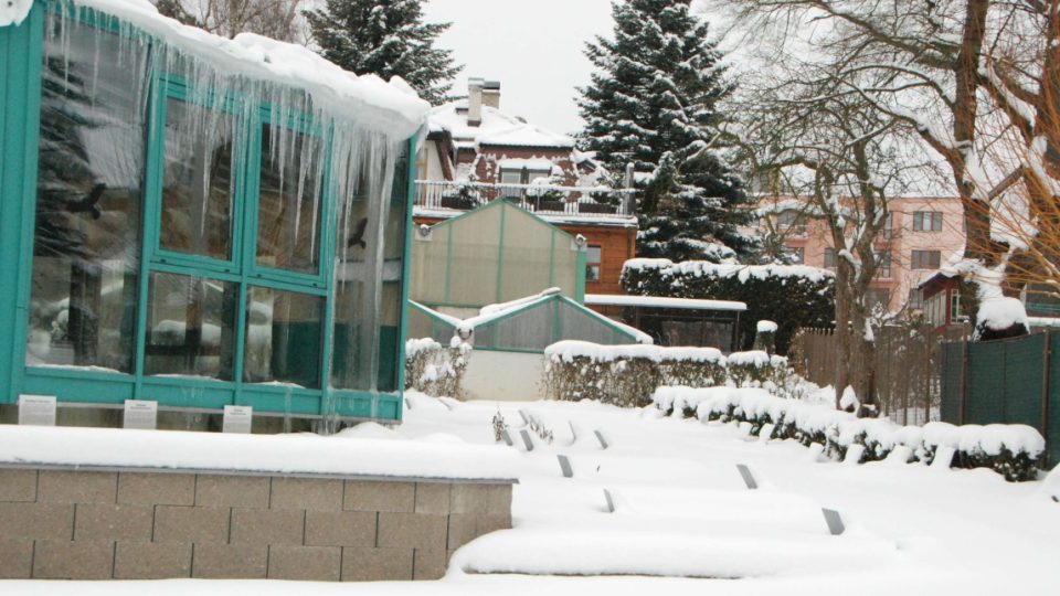 Liberecká botanická zahrada v zimě