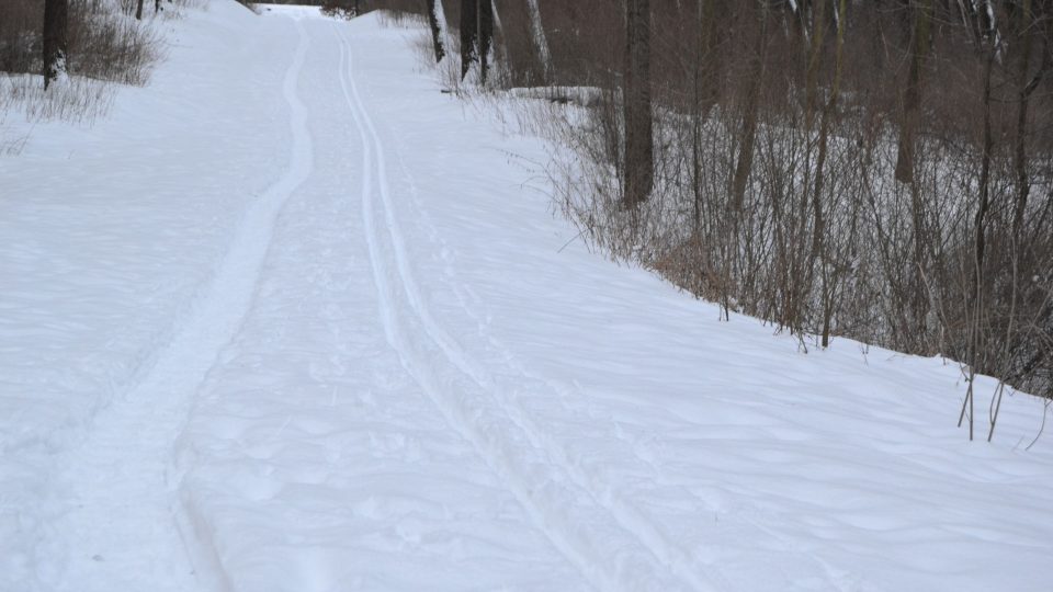 Běžkařská stopa je perfektně udržovaná Běžkařská stopa je perfektně udržovaná