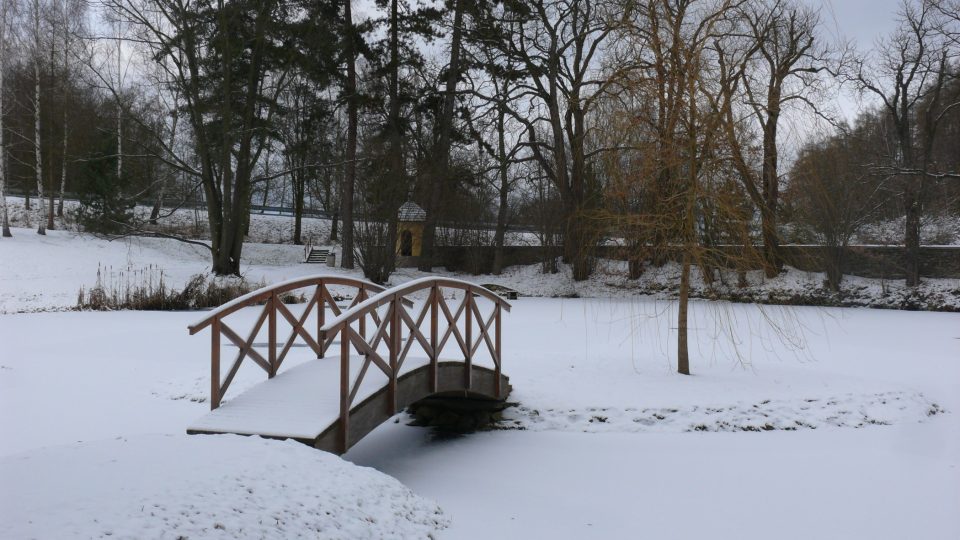 Zámecký park u Vysokého Hrádku