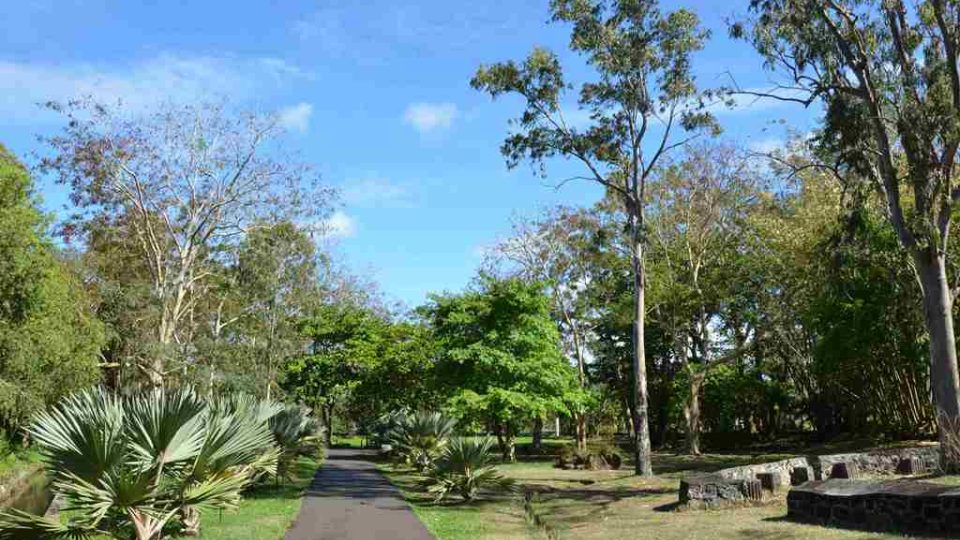 Celkový pohled na zahradu Sir Seewoosagur Ramgoolama