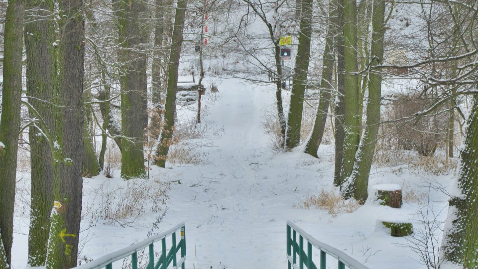 Nedaleko odsud by měla být slibovaná železniční zastávka