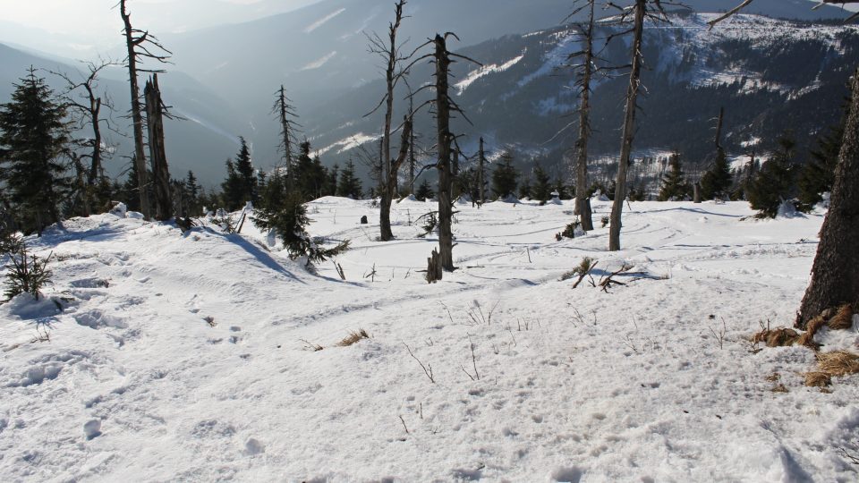 Stopy ve sněhu od freeriderů 