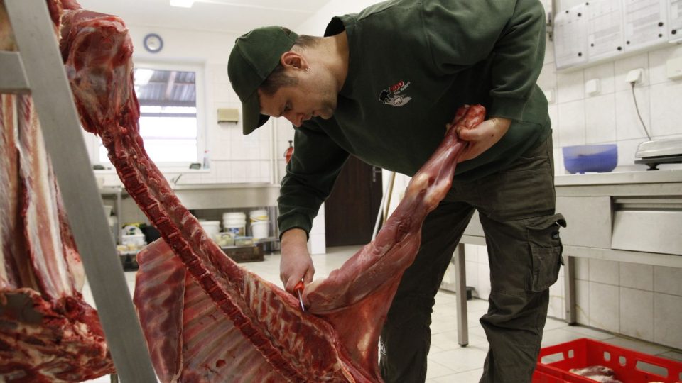 V ZOO Dvůr Králové nad Labem jsme nakoukli do zvířecí kuchyně