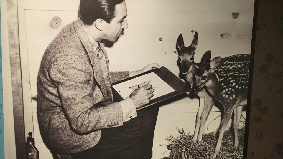 Walt Disney na historickém snímku při skicování koloušků
