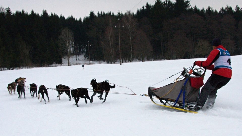 Závody psích spřežení v Zásadě na Jablonecku