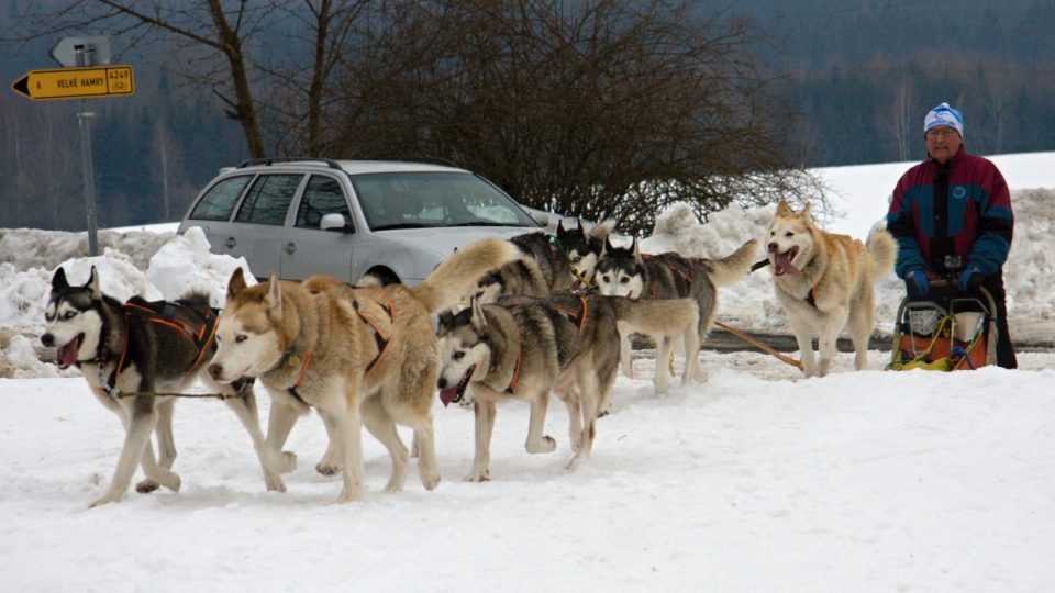 Závody psích spřežení v Zásadě na Jablonecku