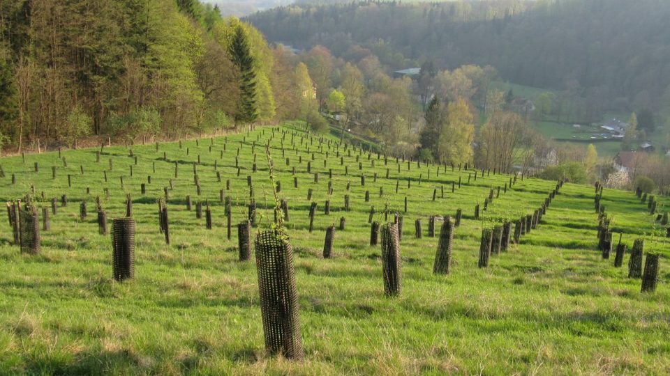 Biofarmář Jan Kozderka - sadaření na rodinných pozemcích v Dolním Adršpachu a na dalších místech Broumovska