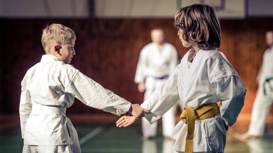 Soustředění klubu Karate Sokol z Českých Budějovic v Horní Stropnici