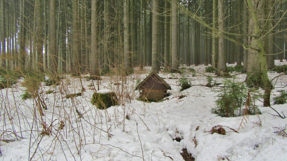 Horníčkova studánka nad Mariánskými Lázněmi