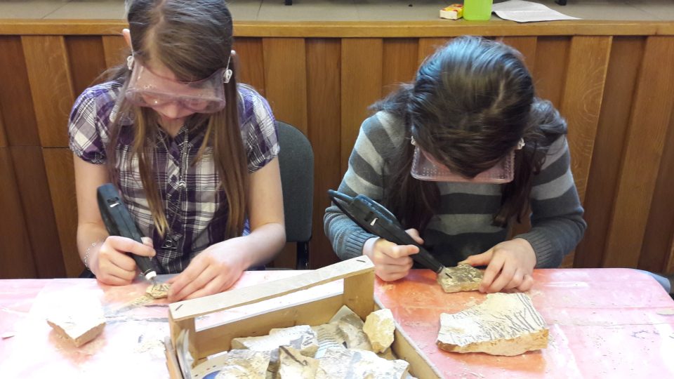 V Západočeském muzeu v Plzni si školáci mohou vymodelovat zub mamuta