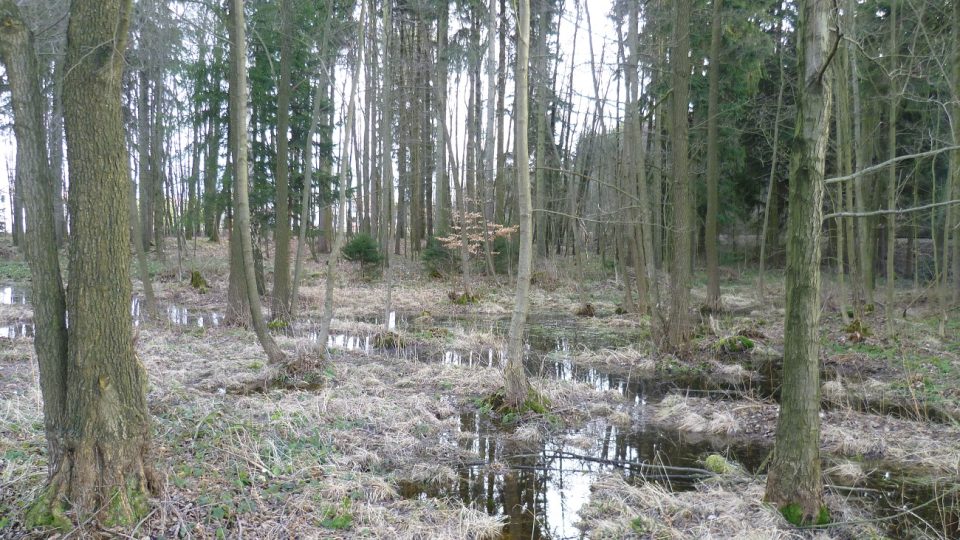 Bez lávek by lokalitu člověk přešel jen těžko