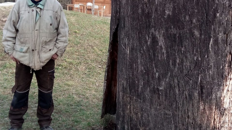 Milan Šusta, autor dřevěných soch v komunitní zahradě Bubec