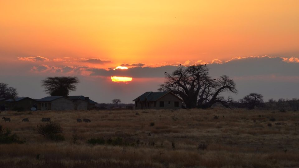 Dva roky prázdnin v Tanzanii - Ruaha NP 