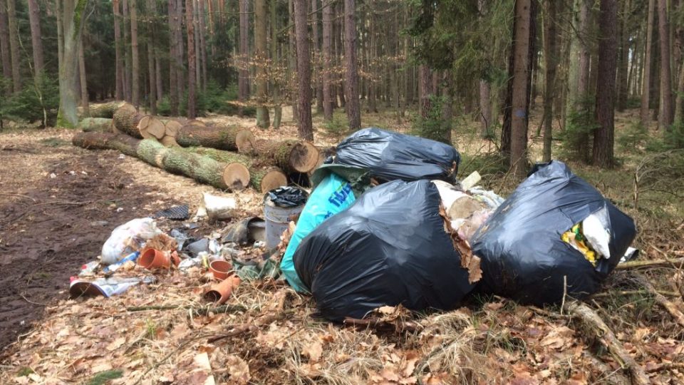 Nekonečný příběh - tak mluví o úklidu odpadků z příkopů a likvidaci černých skládek silničáři a lesníci 