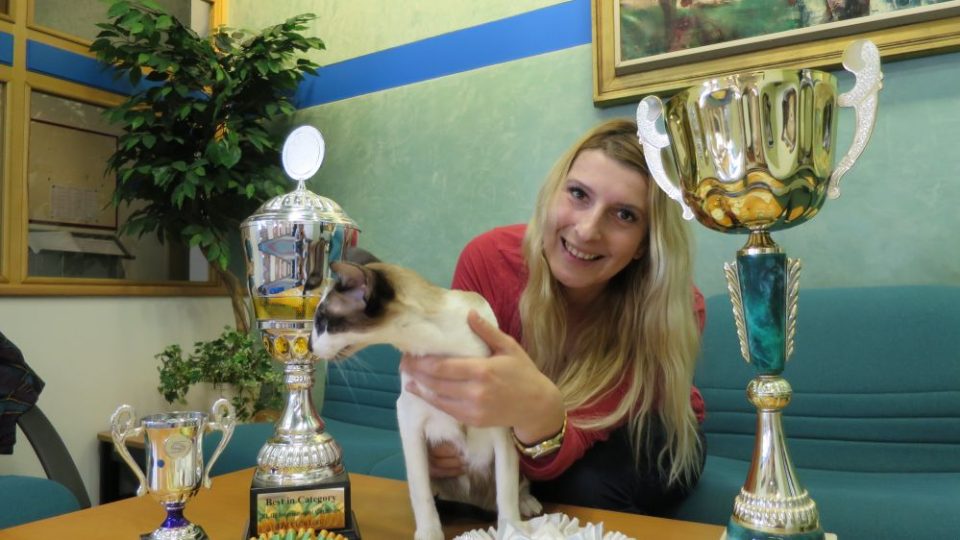 Bára Bartoňová - Jaké kočky jsou v módě? Jak vypadá příprava kočičího šampiona na mezinárodní výstavu International CAT SHOW 2017