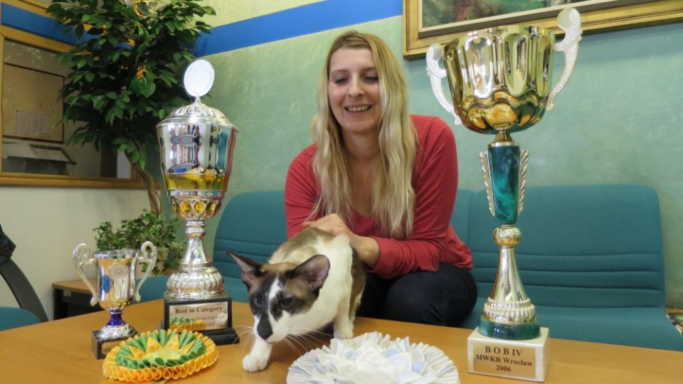 Bára Bartoňová - Jaké kočky jsou v módě? Jak vypadá příprava kočičího šampiona na mezinárodní výstavu International CAT SHOW 2017