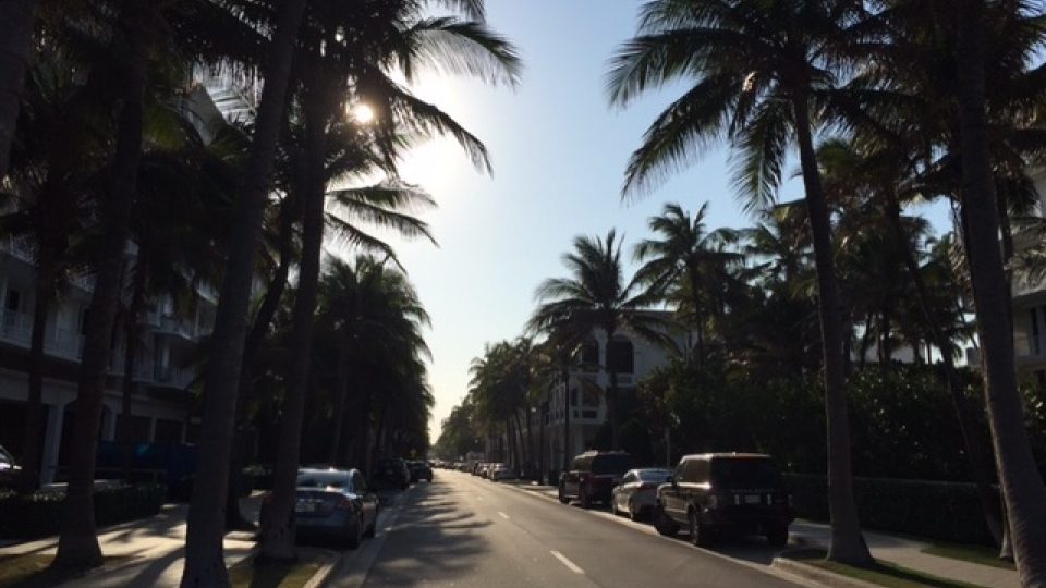 Letovisko Palm Beach dostalo jméno po všudypřítomných palmách