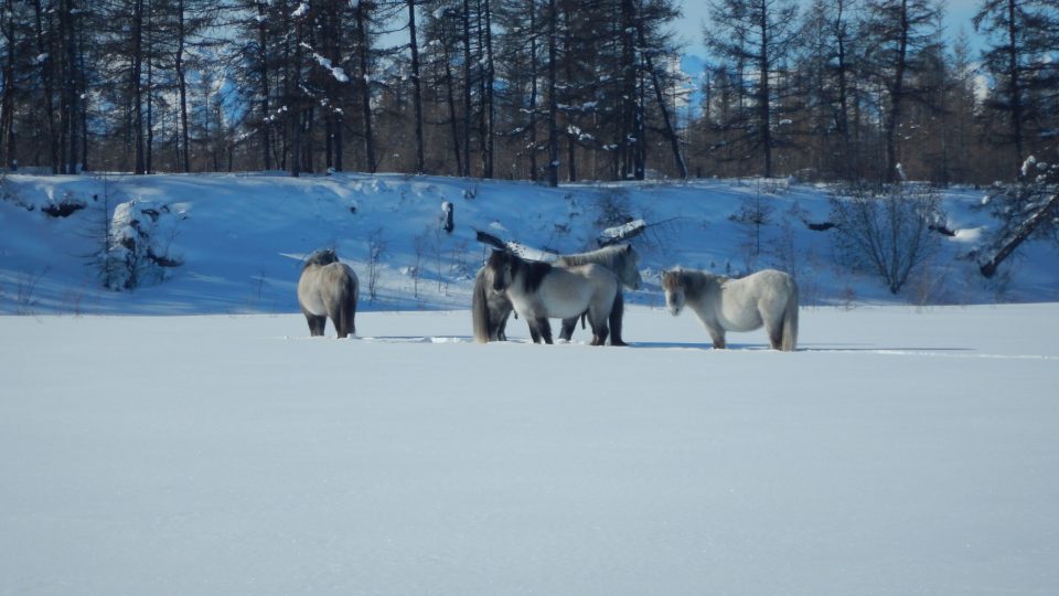 Zimní etapa cesty Dalibora Beneše napříč Sibiří
