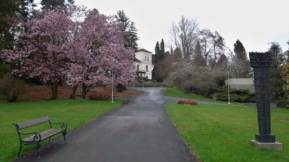 Procházka rozkvetlým arboretem v Novém Dvoře