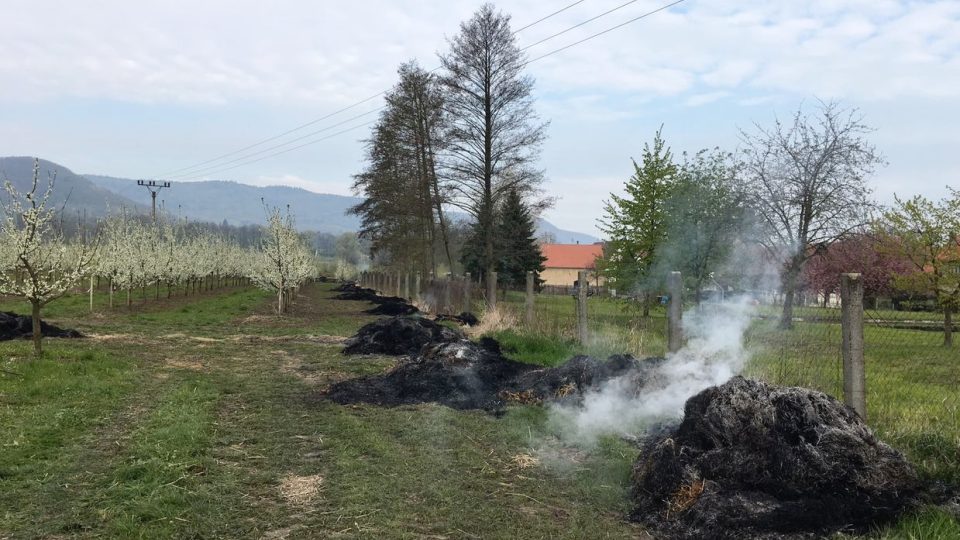 Ovocnáři zapalují v sadech balíky slámy kvůli teplu