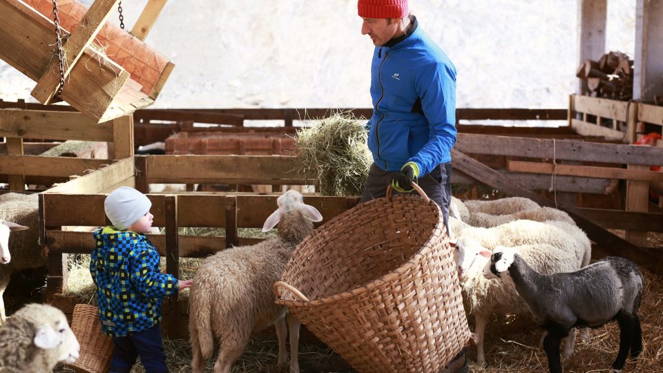 Goldmanovu cenu získal i slovinský ekologický zemědělec Uroš Macerl