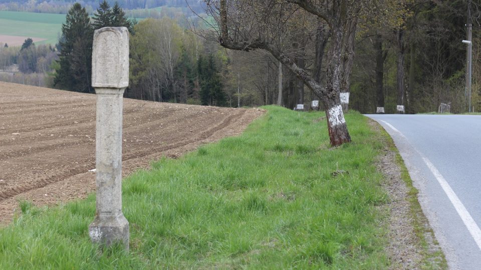 Brzdový kámen stojí vlevo od silnice nad petrovickým kopcem