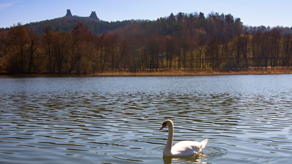 Rokytnický rybník nabízí výhled na Trosky