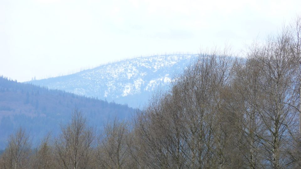 Výhled na horu Plechý od volarských menhirů