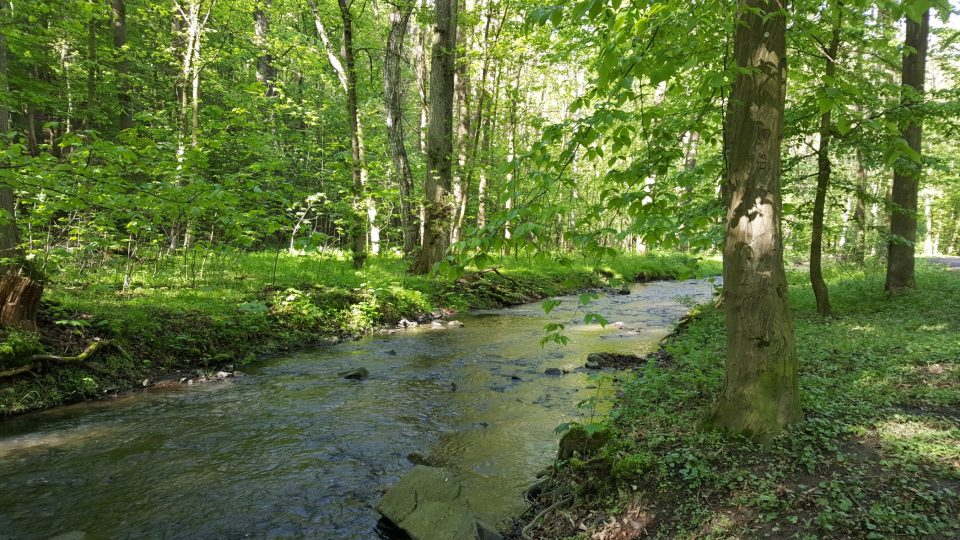Libušský potok | foto: Jolana Nováková Libušský potok