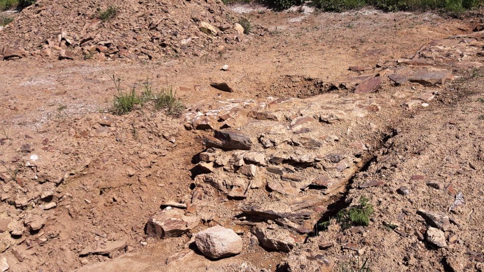 Novou atrakci pro milovníky historie budou mít v obci Vidice na Domažlicku. Archeologové tam objevili pozůstatky historické tvrze. Jestli návštěvníci uvidí přímo odkryté hradby nebo jen jejich vizualizaci, zatím není jasné