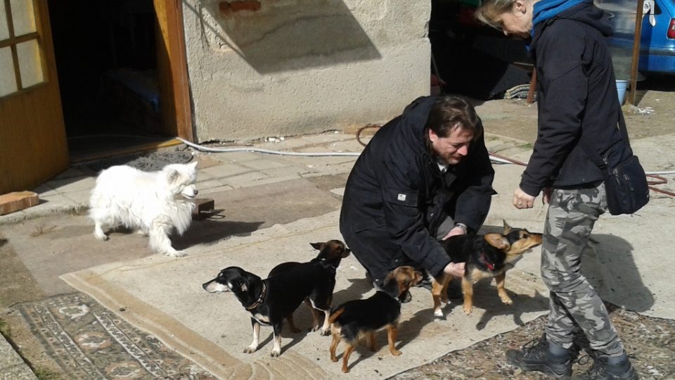 Psí hospic provozuje Eliška Vafková v obci Bukovinka u Brna