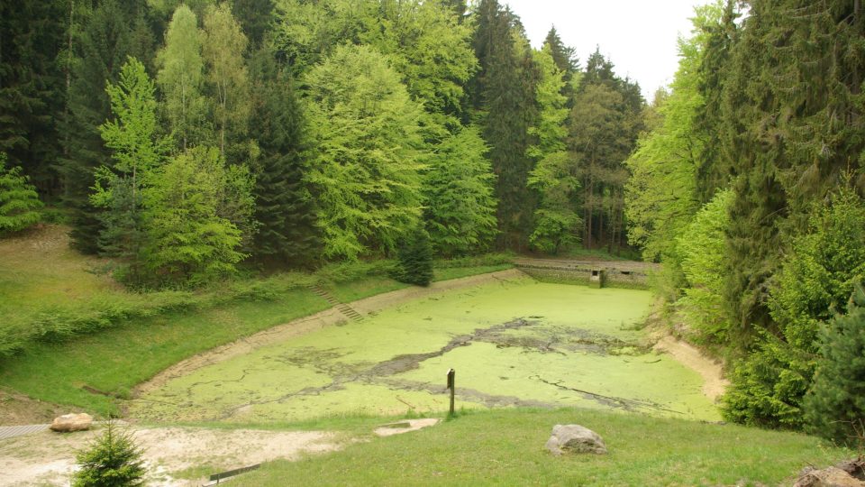 Kdysi slavné letní koupaliště U Pelíška je teď vypuštěné a částečně vyčištěné