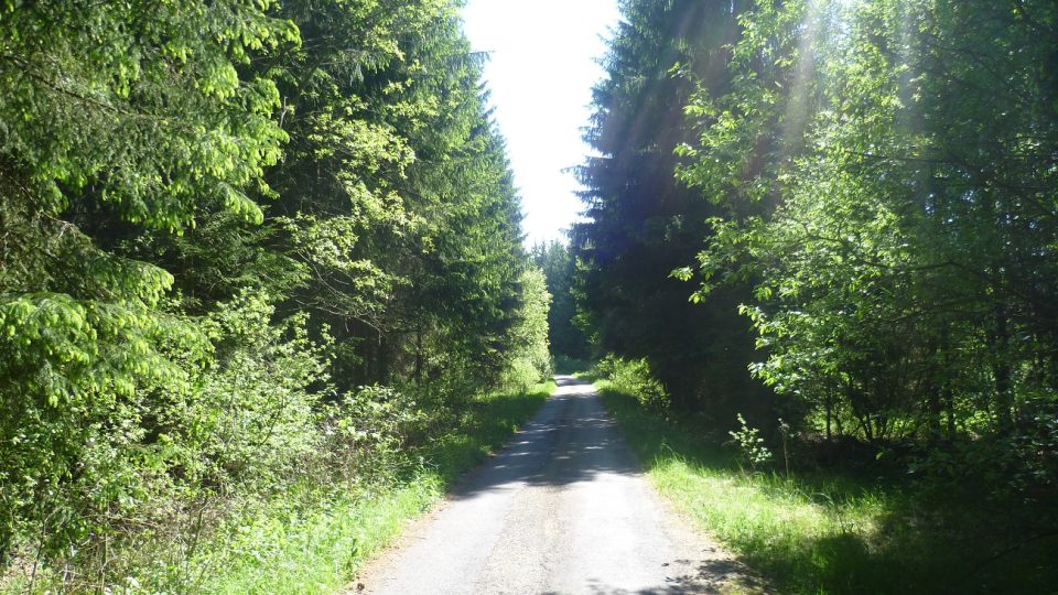 Cesta od studánky směrem na Beranovec