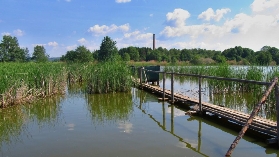 Místo je rájem vodních ptáků i fotografů