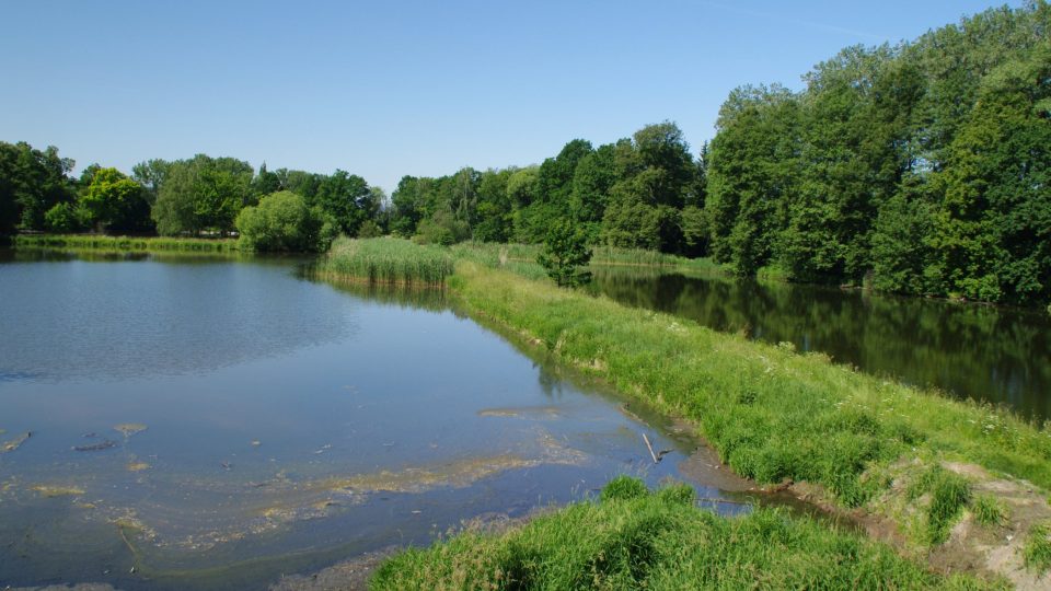 Třemešské rybníky jsou pozůstatkem velké rybniční soustavy vysušené v 19. století
