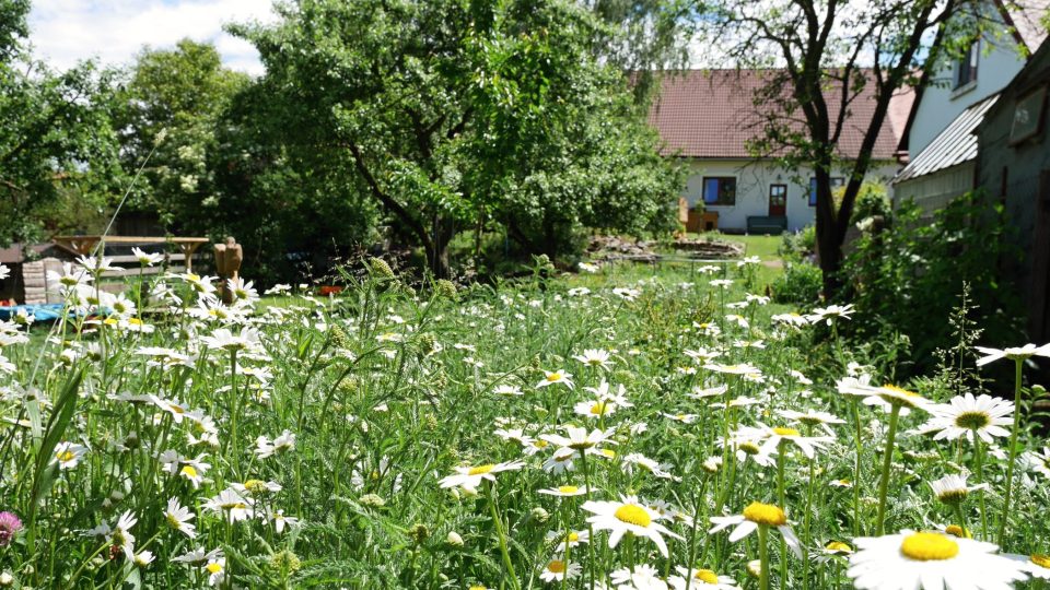 Přírodní zahrada v Myslovicích na Klatovsku 
