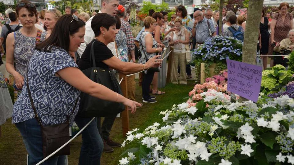 Zahradnická výstava Chelsea Flower Show