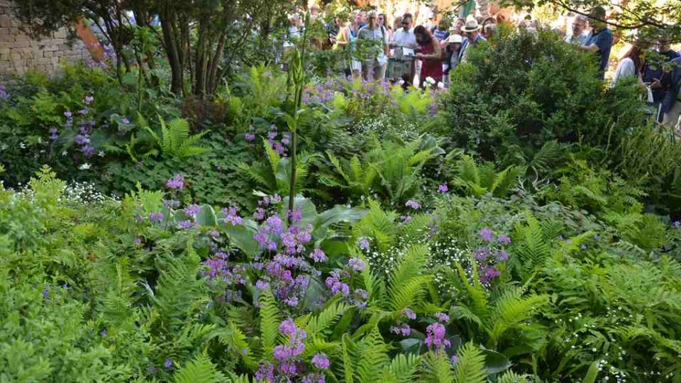 Ukázková zahrada na Chelsea Flower Show