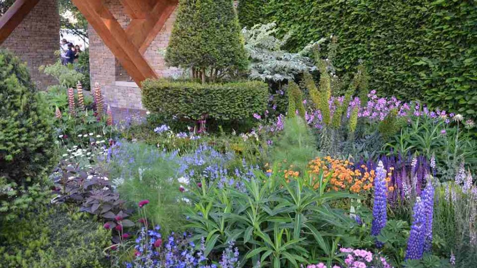 Ukázková zahrada na Chelsea Flower Show