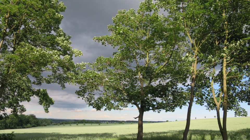 Ze Stonehenge dohlédneme až do Krkonoš