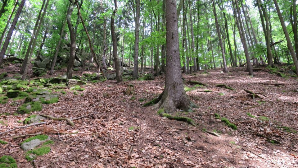 Na vrcholu ostrohu kdysi ležel hrad Šember