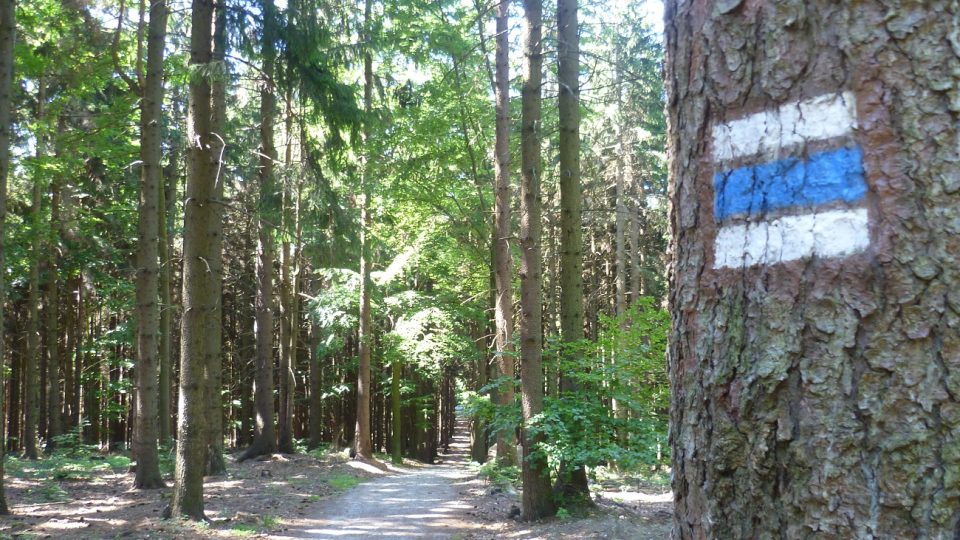 Přístup k Mařence po modré turistické trase