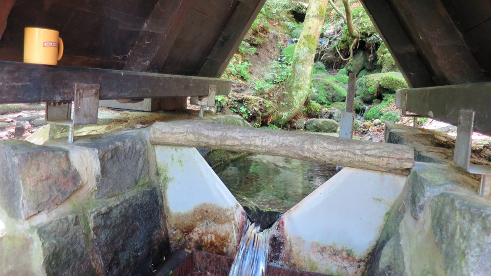 Studánka Kapalice-pohled z přístřešku nahoru ke studánce