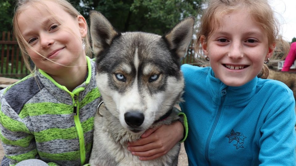 Husky tábor Jany Henychové v Horním Maxově