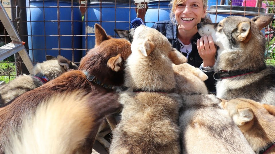 O husky táboru Jany Henychové v Horním Maxově natáčela redaktorka Lucie Fürstová. Během rozhovorů dostala od psů spoustu "pusinek"