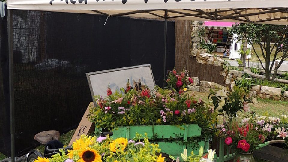 Zahradní výstava v Hampton Court u Londýna je současně příležitostí nakoupit si rostliny na vlastní terasu či zahradu