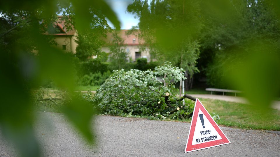 Pozor, práce na stromech!