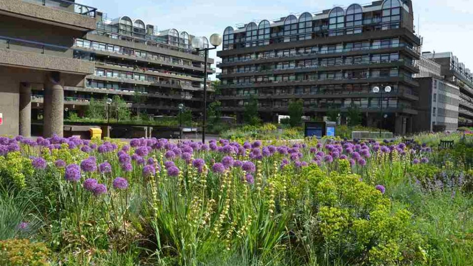 Londýnský Barbican nabízí přímo v centru metropole zelenou kvetoucí oázu 