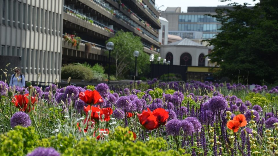 Londýnský Barbican nabízí přímo v centru metropole zelenou kvetoucí oázu 