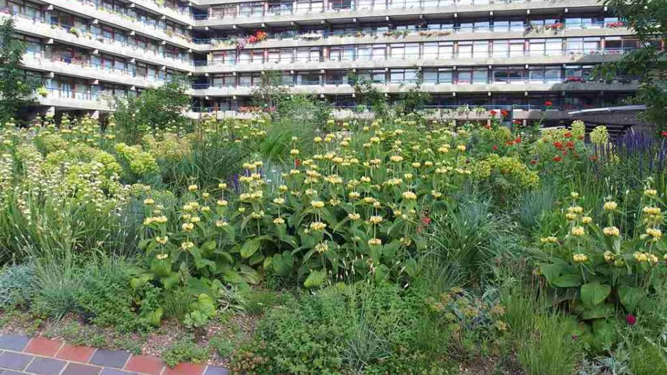 Londýnský Barbican nabízí přímo v centru metropole zelenou kvetoucí oázu 